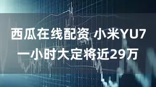 西瓜在线配资 小米YU7一小时大定将近29万