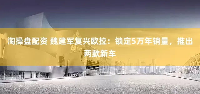 淘操盘配资 魏建军复兴欧拉：锁定5万年销量，推出两款新车